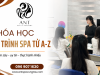Hiểu đúng, học đúng – Học spa gồm những gì? Lộ trình từ A–Z tại Ant Spa & Academy