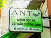 A.N.T Spa – Điểm Đến Lý Tưởng Cho Chăm Sóc Da Và Triệt Lông Tại Vũng Tàu