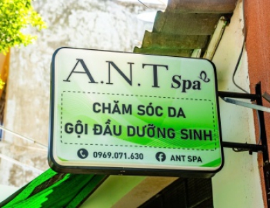 A.N.T Spa – Điểm Đến Lý Tưởng Cho Chăm Sóc Da Và Triệt Lông Tại Vũng Tàu