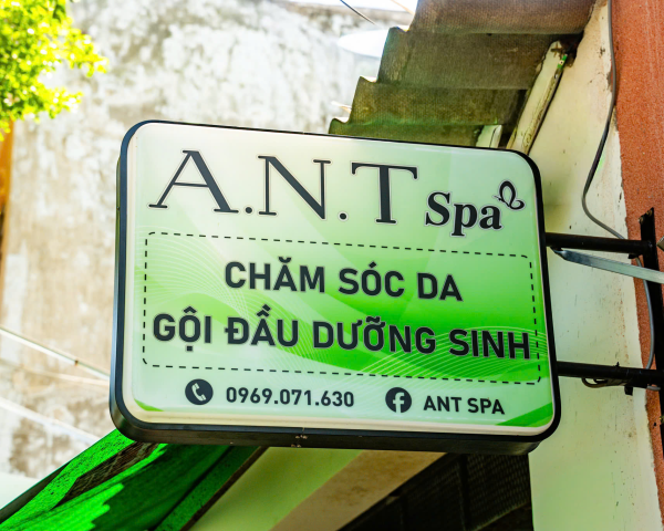 A.N.T Spa – Điểm Đến Lý Tưởng Cho Chăm Sóc Da Và Triệt Lông Tại Vũng Tàu